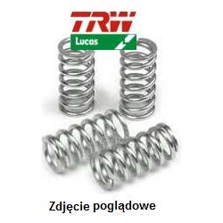 Komplet sprężyn sprzęgła SUZUKI RM 125/250 2001-2012